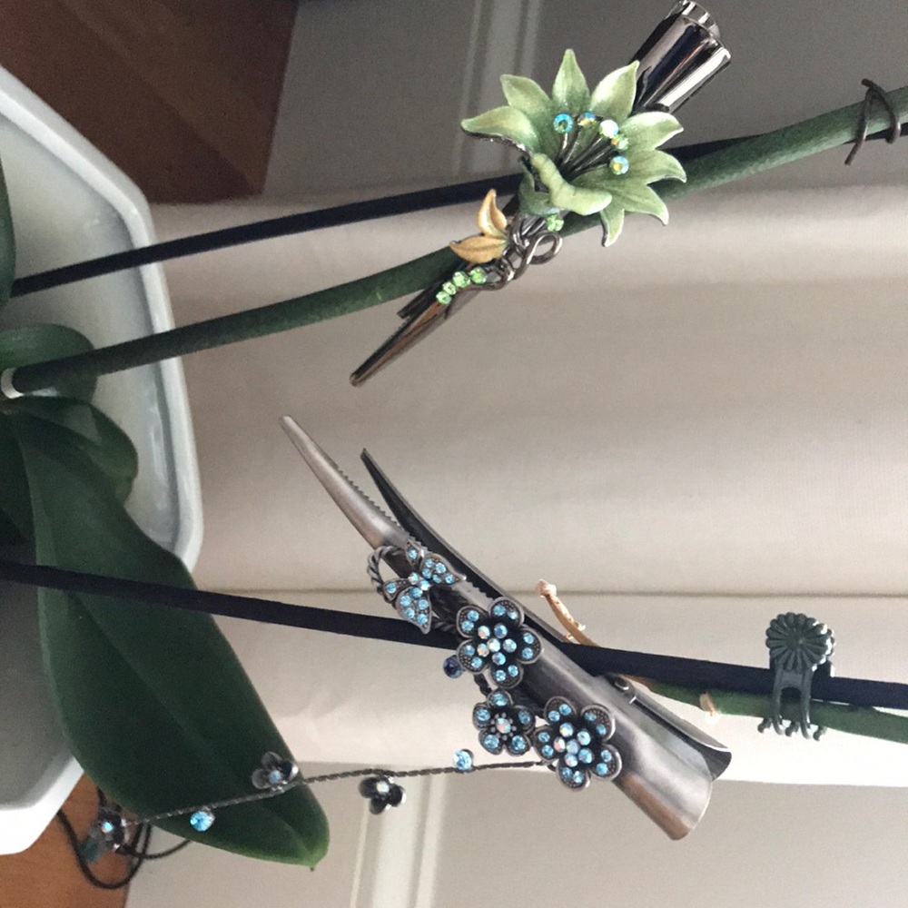 Jeweled hair clips new pair